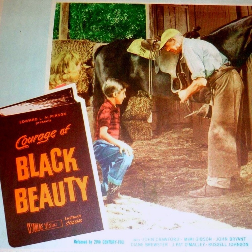 1957 Courage Black Beauty Lobby Card 20th Century Fox Horse Movie VIBRANT Color